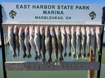 Lakeside Marblehead Report Photo 1