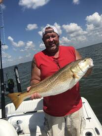 Venice Report Photo 1