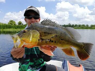 Petaling Jaya Report Photo 2