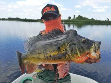 Petaling Jaya Report Photo 1