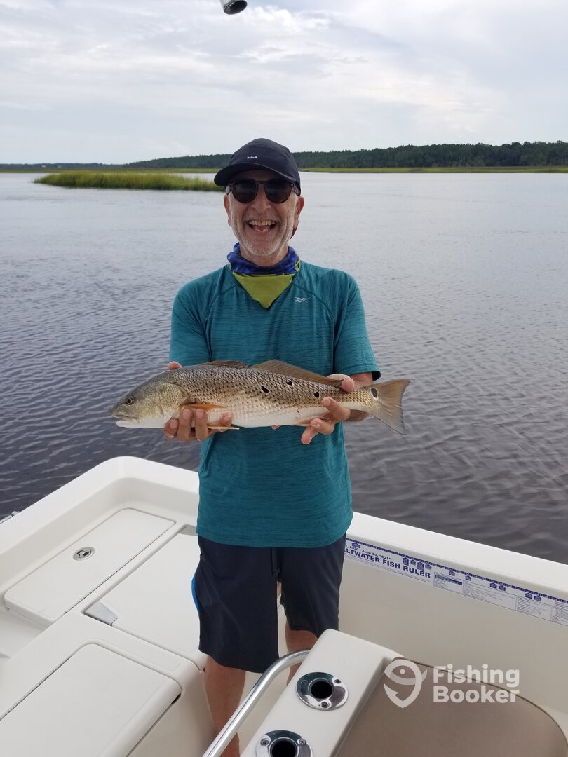 Mount Pleasant Report Photo 0