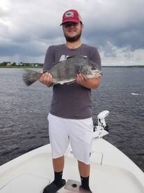 Mount Pleasant Report Photo 1