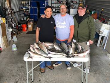 Fall Striper Fishing