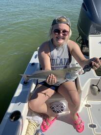 Marco Island Report Photo 2