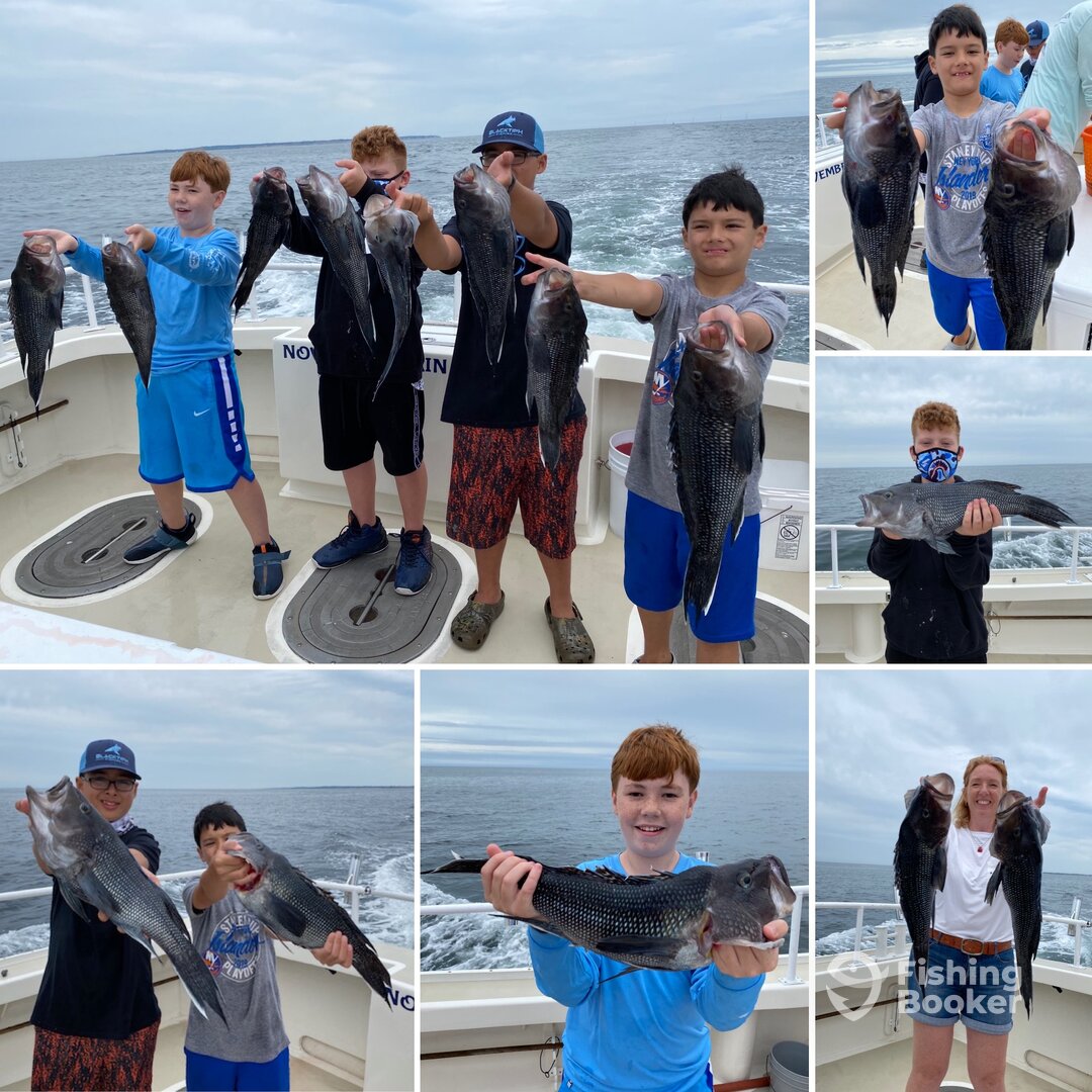 Montauk Report Photo 0