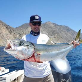 Yellowtail Madness!!!!!!