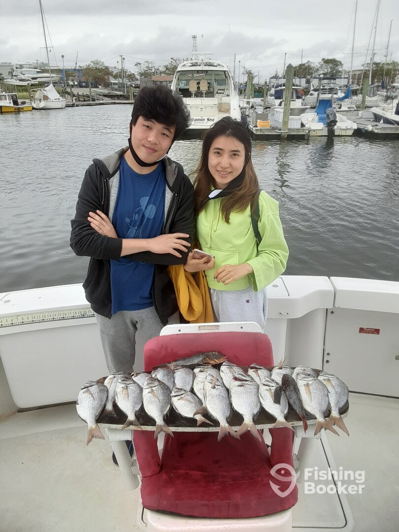 New York City Report Photo 0