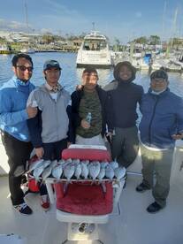 New York City Report Photo 2