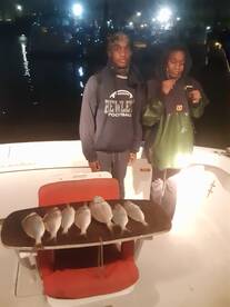 New York City Report Photo 1