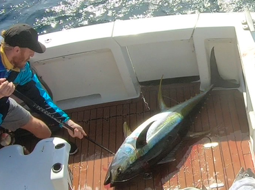 Sydney Report Photo 2