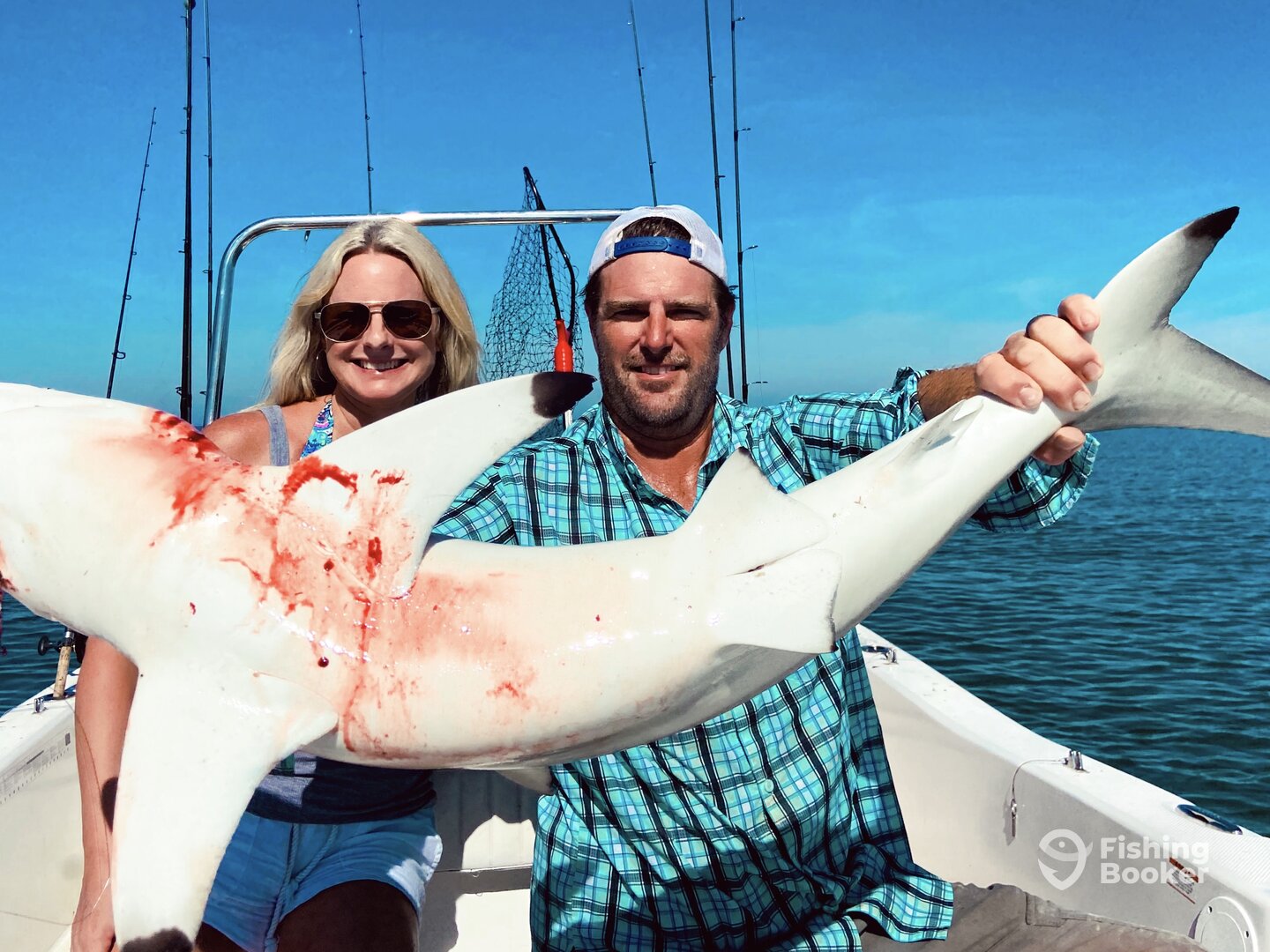 Sarasota Report Photo 0