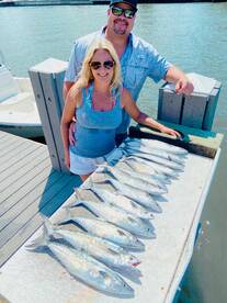 Sarasota Report Photo 1