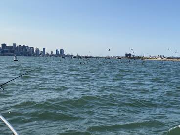 Quincy Report Photo 2