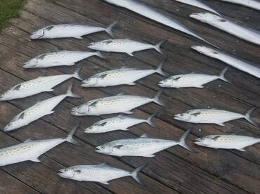 Nags Head Report Photo 1