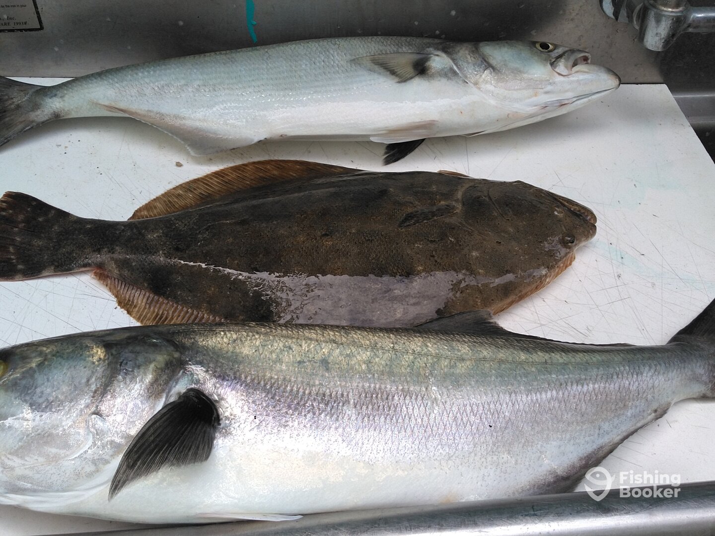 Murrells Inlet Report Photo 0