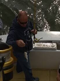 Wanchese Report Photo 2