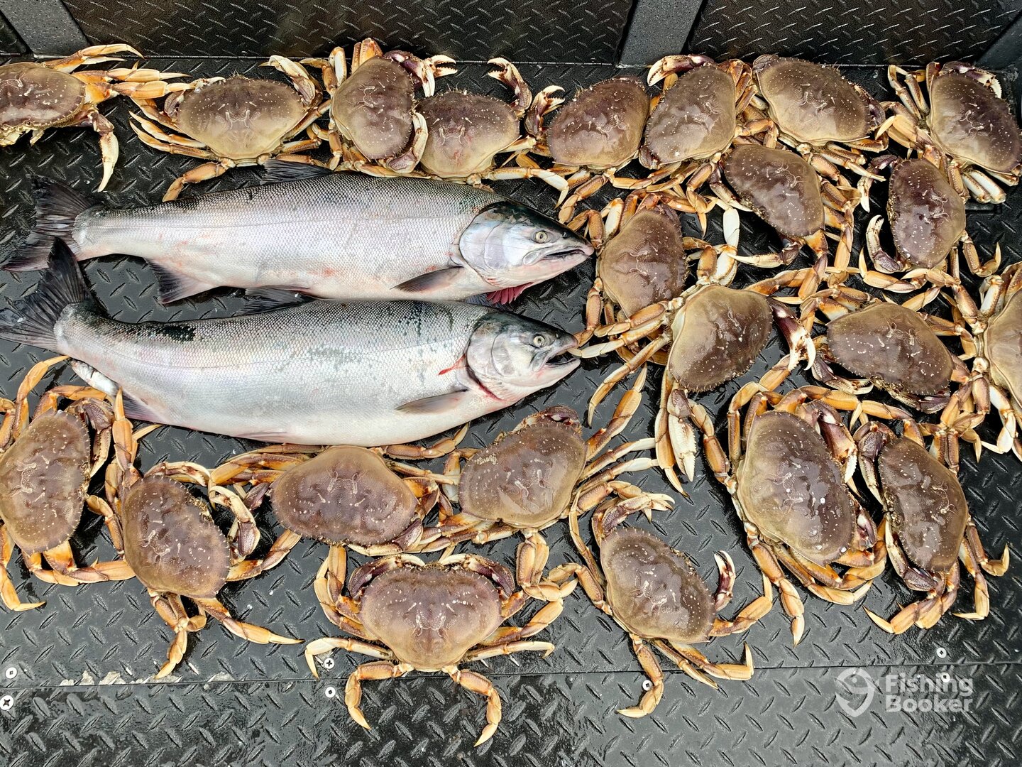 North Bonneville Report Photo 0