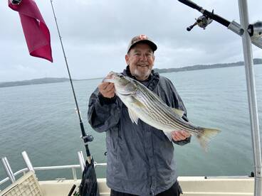 Cumming Report Photo 2