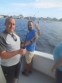 New York City Report Photo 1