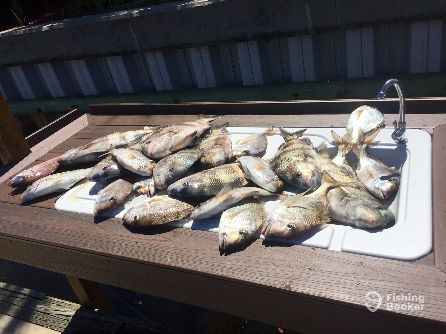 Destin Report Photo 0