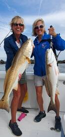 Jacksonville Report Photo 2