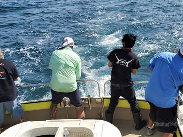 Oceanside Report Photo 1