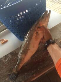 Venice Report Photo 1