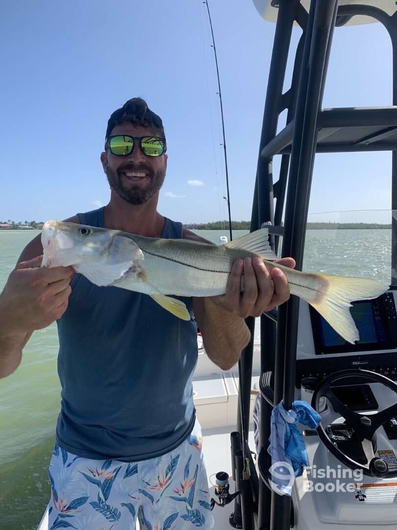 Marco Island Report Photo 0