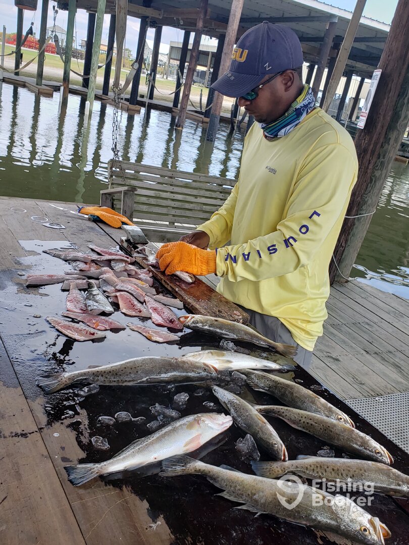 New Orleans Report Photo 0