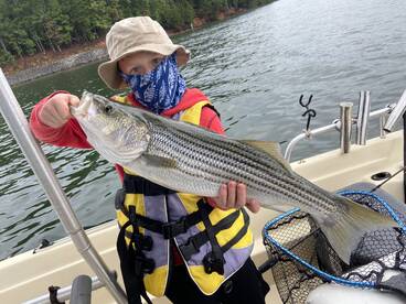 Cumming Report Photo 2