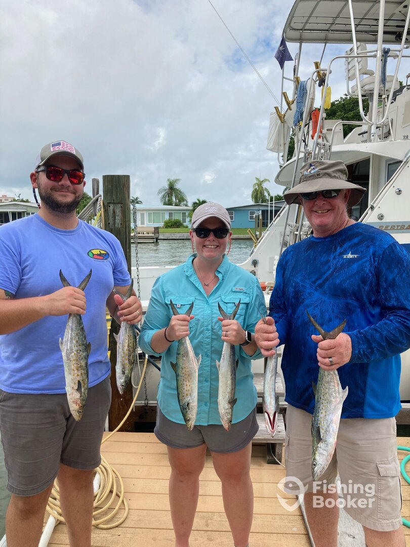 Redington Shores Report Photo 0