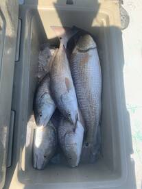 Port O'Connor Report Photo 2