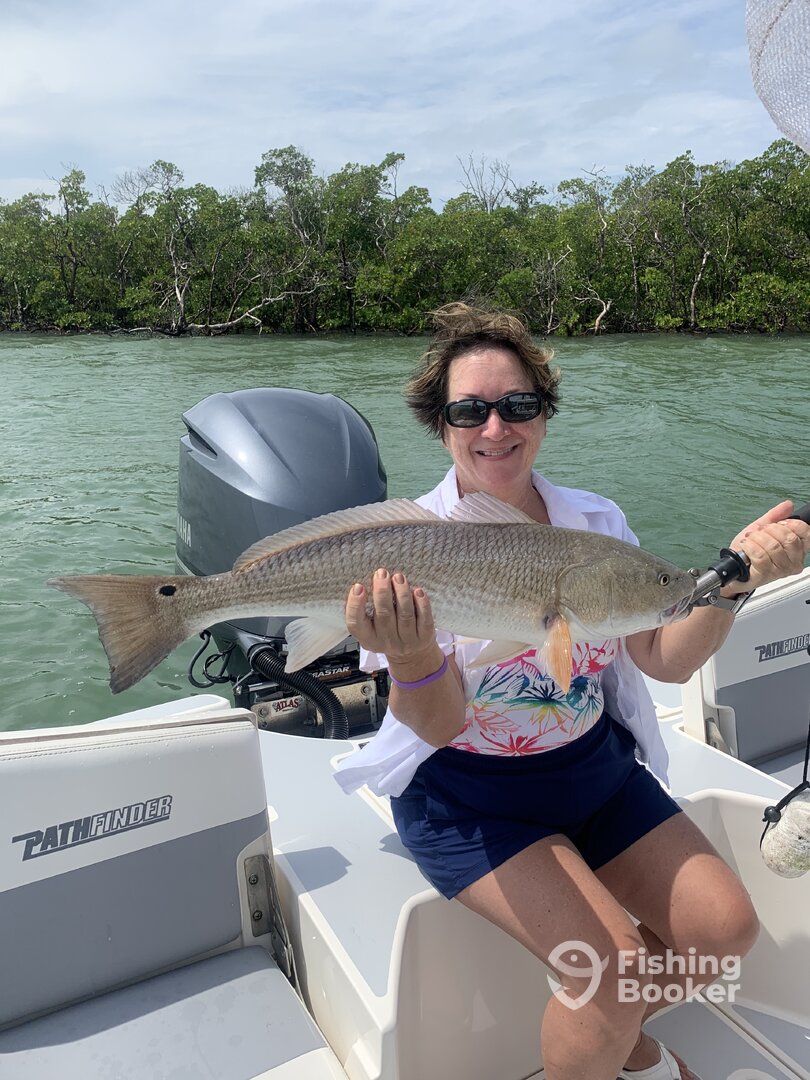 Marco Island Report Photo 0