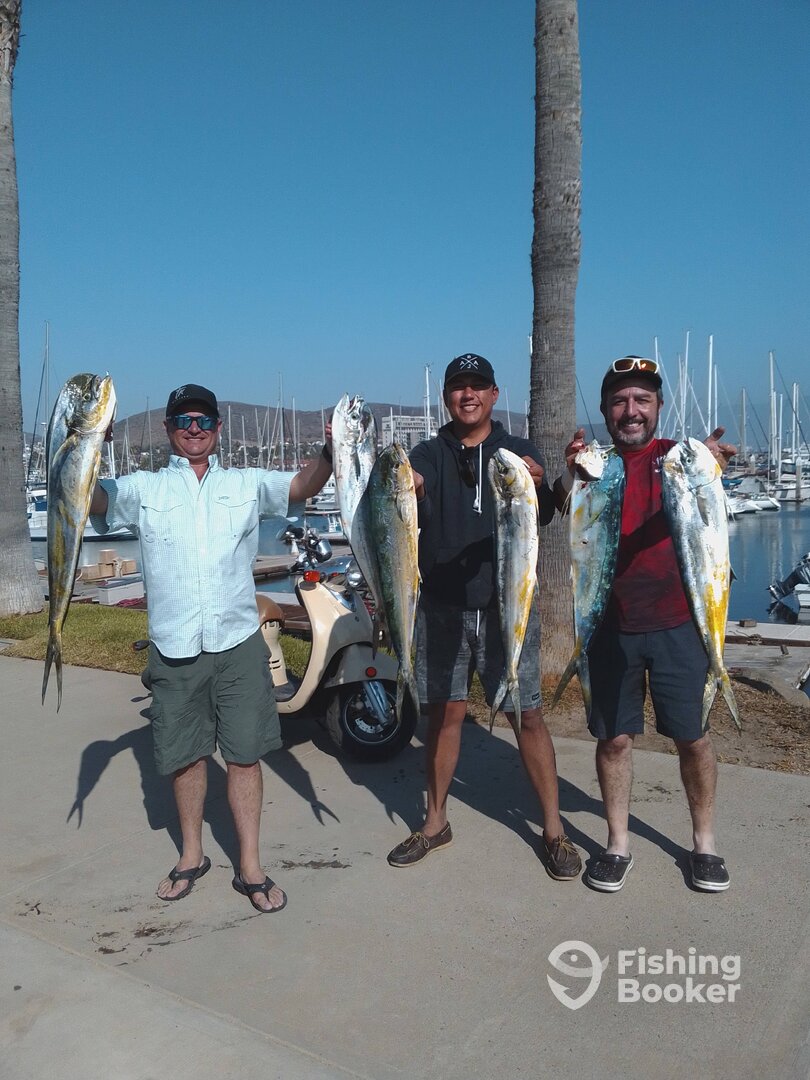 Ensenada Report Photo 0