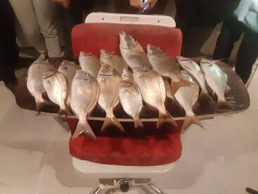 New York City Report Photo 1