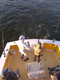 Wanchese Report Photo 1