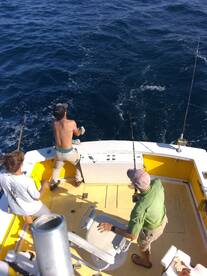 Wanchese Report Photo 2