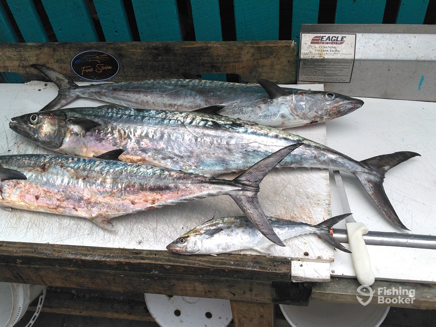 Murrells Inlet Report Photo 0