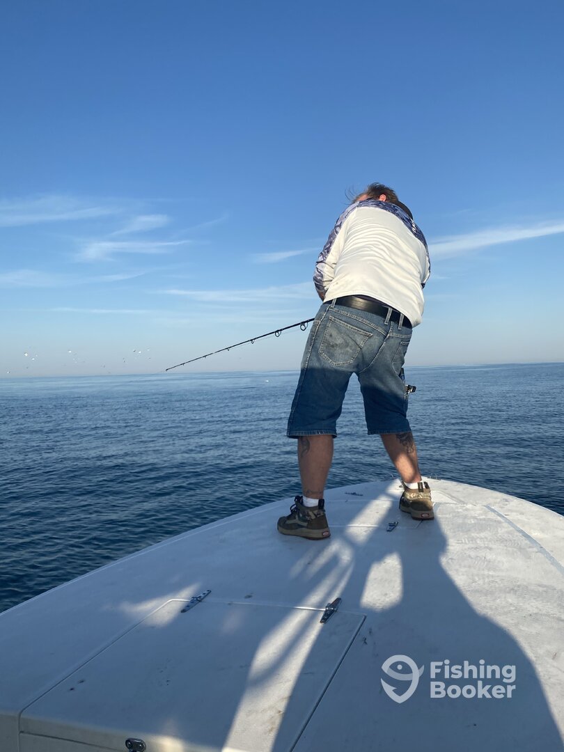 Mount Pleasant Report Photo 0