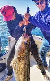 Montauk Report Photo 1