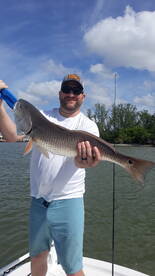 St. Petersburg Report Photo 1