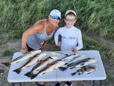 Despite the Hurricanes