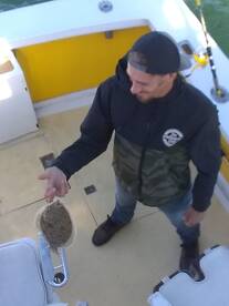 Wanchese Report Photo 2