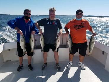 Solomons Report Photo 1