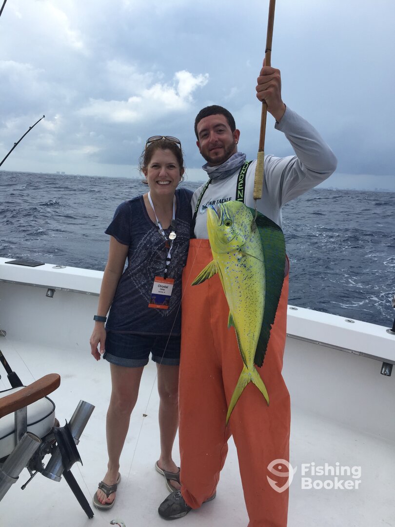 Dania Beach Report Photo 0