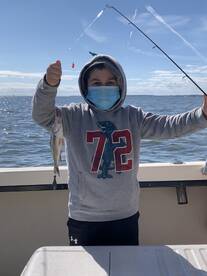 Bellevue Report Photo 1