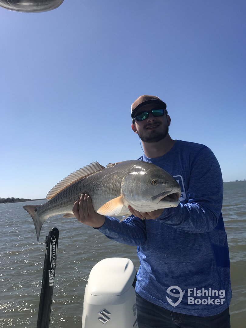 Venice Report Photo 0