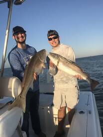 Venice Report Photo 1