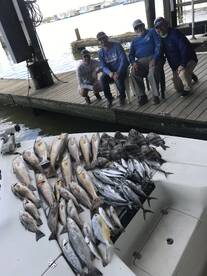 Venice Report Photo 2