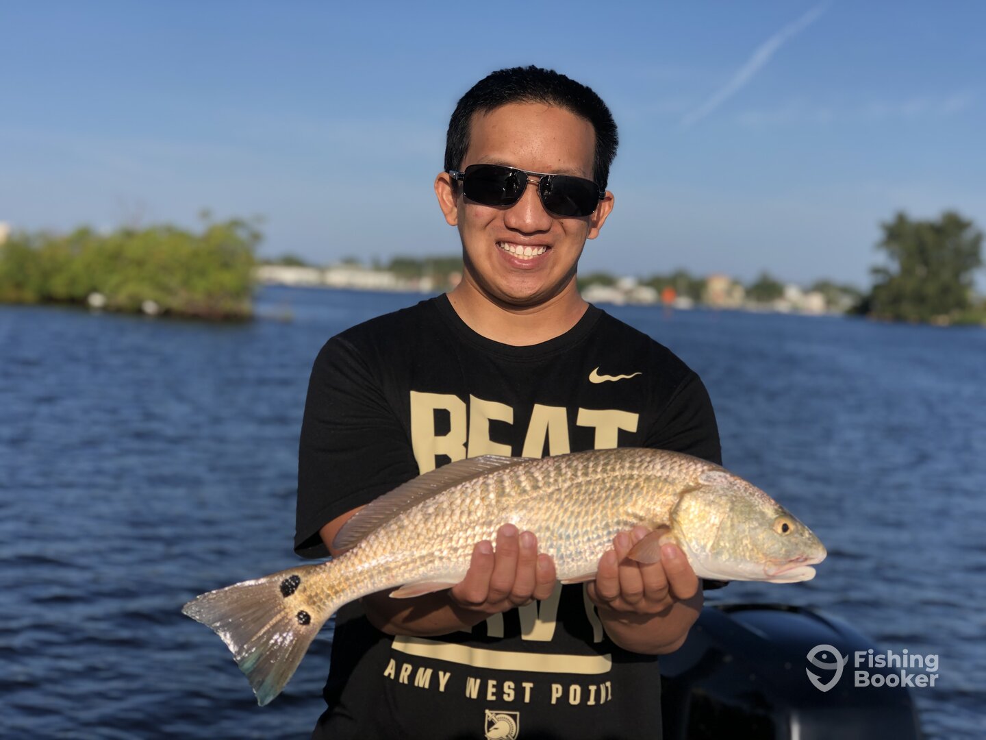 Sarasota Report Photo 0